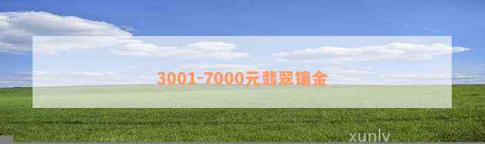 3001-7000元翡翠镶金