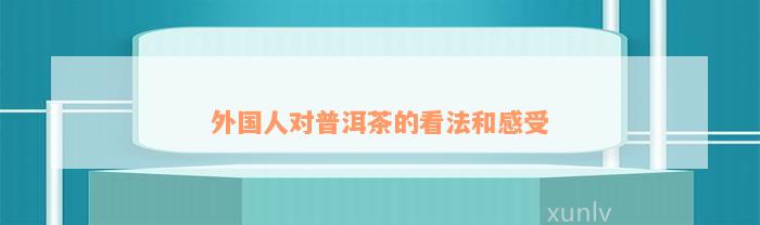 外国人对普洱茶的看法和感受