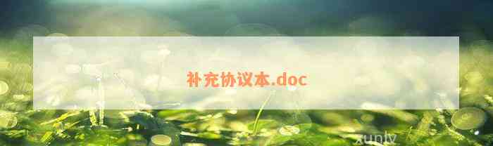 补充协议本.doc