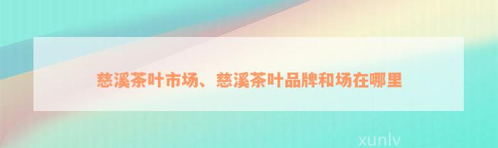 慈溪茶叶市场、慈溪茶叶品牌和场在哪里