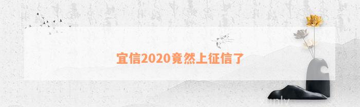 宜信2020竟然上征信了