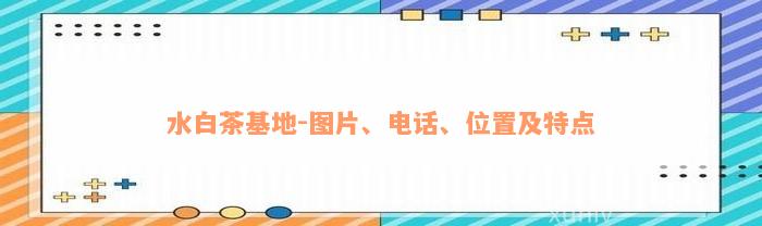 水白茶基地-图片、电话、位置及特点