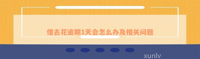 借去花逾期1天会怎么办及相关问题