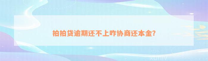 拍拍贷逾期还不上咋协商还本金？