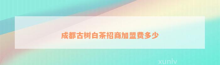 成都古树白茶招商加盟费多少