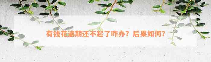 有钱花逾期还不起了咋办？后果如何？