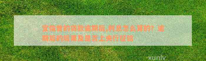 宜信普的贷款逾期后,利息怎么算的？逾期后的后果及是否上央行征信