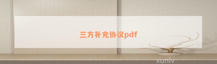 三方补充协议pdf