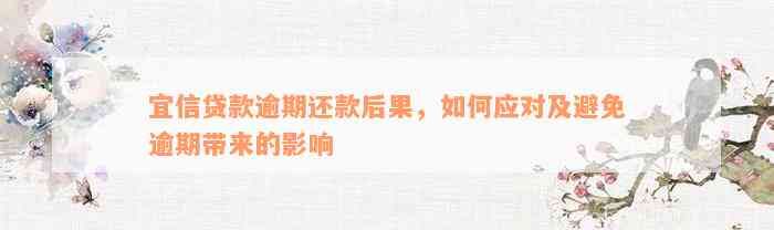 宜信贷款逾期还款后果，如何应对及避免逾期带来的影响