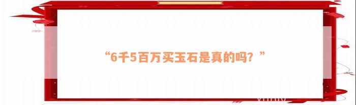 “6千5百万买玉石是真的吗？”