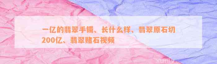 一亿的翡翠手镯、长什么样、翡翠原石切200亿、翡翠赌石视频