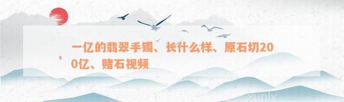 一亿的翡翠手镯、长什么样、原石切200亿、赌石视频