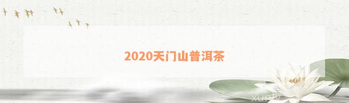 2020天门山普洱茶