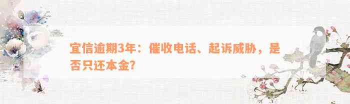 宜信逾期3年：催收电话、起诉威胁，是否只还本金？