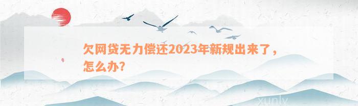 欠网贷无力偿还2023年新规出来了，怎么办？