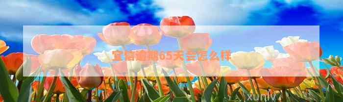 宜信逾期65天会怎么样