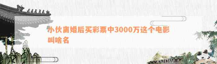 小伙离婚后买彩票中3000万这个电影叫啥名