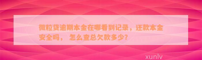 微粒贷逾期本金在哪看到记录，还款本金安全吗， 怎么查总欠款多少？