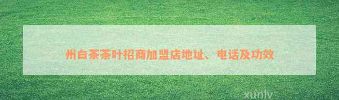 州白茶茶叶招商加盟店地址、电话及功效