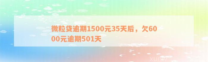 微粒贷逾期1500元35天后，欠6000元逾期501天