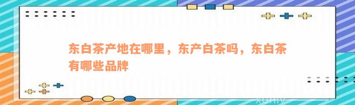 东白茶产地在哪里，东产白茶吗，东白茶有哪些品牌