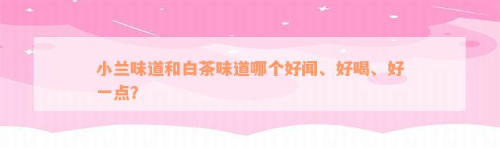 小兰味道和白茶味道哪个好闻、好喝、好一点？