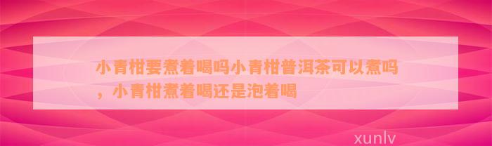 小青柑要煮着喝吗小青柑普洱茶可以煮吗，小青柑煮着喝还是泡着喝