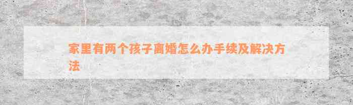 家里有两个孩子离婚怎么办手续及解决方法