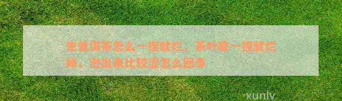 生普洱茶怎么一捏就烂，茶叶底一捏就烂掉，泡出来比较涩怎么回事