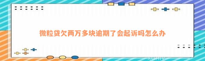 微粒贷欠两万多块逾期了会起诉吗怎么办