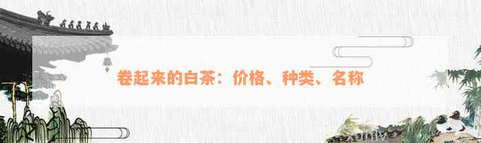 卷起来的白茶：价格、种类、名称