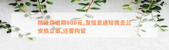 微粒贷逾期600元,发信息通知我去公安局立案,还要拘留