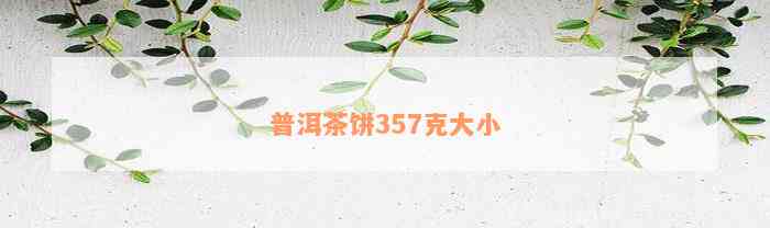 普洱茶饼357克大小