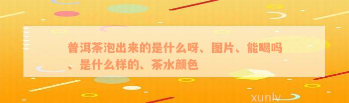 普洱茶泡出来的是什么呀、图片、能喝吗、是什么样的、茶水颜色