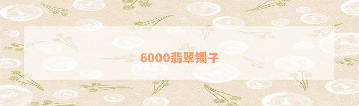 6000翡翠镯子