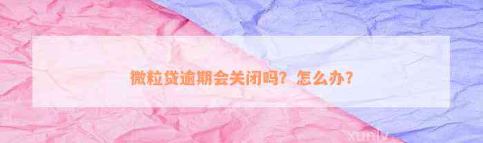 微粒贷逾期会关闭吗？怎么办？