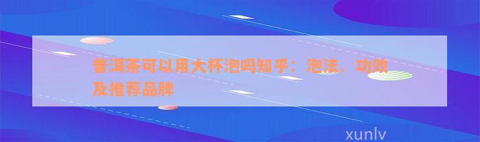 普洱茶可以用大杯泡吗知乎：泡法、功效及推荐品牌