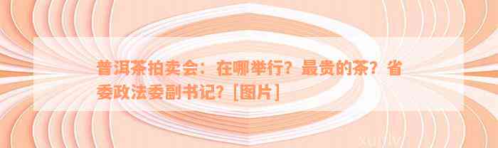 普洱茶拍卖会：在哪举行？最贵的茶？省委政法委副书记？[图片]