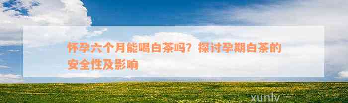 怀孕六个月能喝白茶吗？探讨孕期白茶的安全性及影响