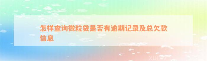 怎样查询微粒贷是否有逾期记录及总欠款信息