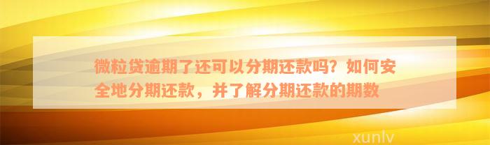 微粒贷逾期了还可以分期还款吗？如何安全地分期还款，并了解分期还款的期数