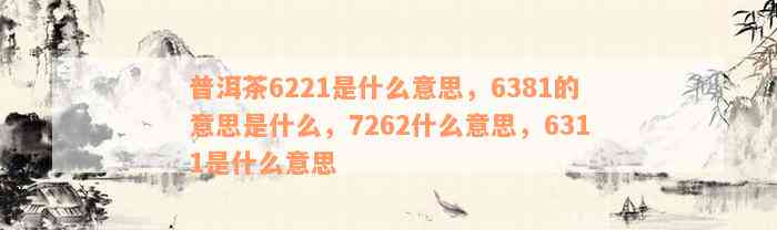 普洱茶6221是什么意思，6381的意思是什么，7262什么意思，6311是什么意思