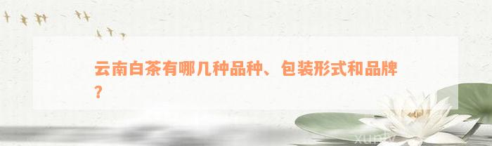 云南白茶有哪几种品种、包装形式和品牌？