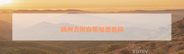 扬州古树白茶加盟官网