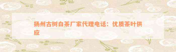 扬州古树白茶厂家代理电话：优质茶叶供应