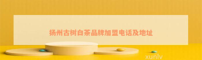 扬州古树白茶品牌加盟电话及地址