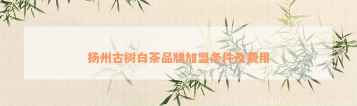 扬州古树白茶品牌加盟条件及费用
