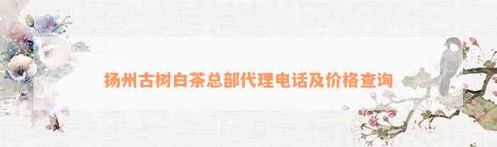 扬州古树白茶总部代理电话及价格查询