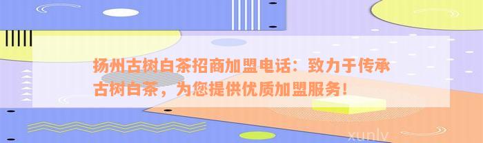 扬州古树白茶招商加盟电话：致力于传承古树白茶，为您提供优质加盟服务！