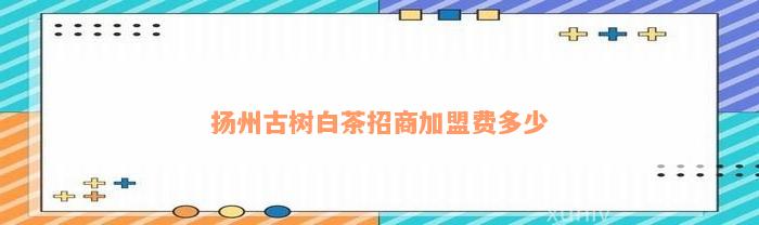 扬州古树白茶招商加盟费多少